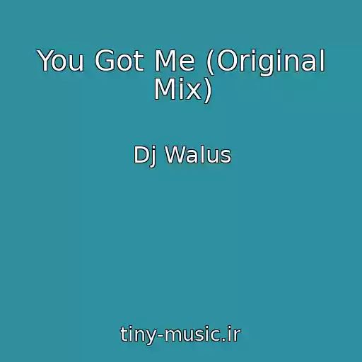 کاور آهنگ You Got Me (Original Mix) از Dj Walus