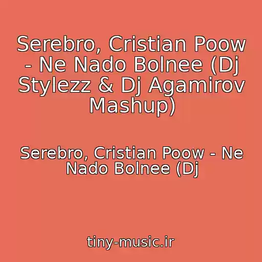 کاور آهنگ Serebro, Cristian Poow - Ne Nado Bolnee (Dj Stylezz & Dj Agamirov Mashup) از Serebro, Cristian Poow - Ne Nado Bolnee (Dj