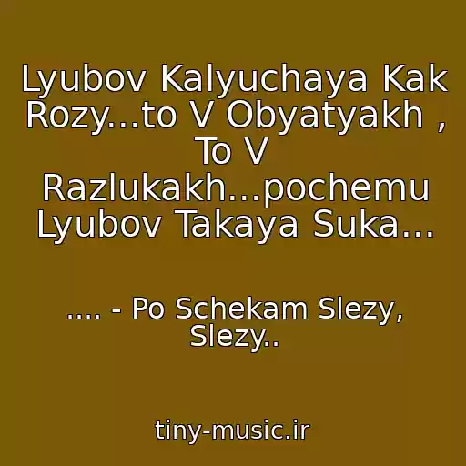 کاور آهنگ Lyubov Kalyuchaya Kak Rozy...to V Obyatyakh , To V Razlukakh...pochemu Lyubov Takaya Suka... از .... - Po Schekam Slezy, Slezy..