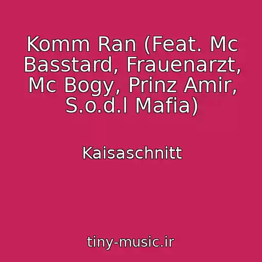 کاور آهنگ Komm Ran (Feat. Mc Basstard, Frauenarzt, Mc Bogy, Prinz Amir, S.o.d.l Mafia) از Kaisaschnitt