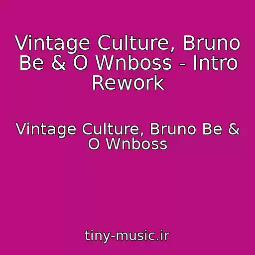 کاور آهنگ Vintage Culture, Bruno Be & O Wnboss - Intro Rework از Vintage Culture, Bruno Be & O Wnboss