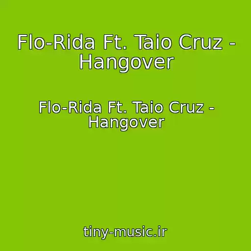 کاور آهنگ Flo-Rida Ft. Taio Cruz - Hangover از Flo-Rida Ft. Taio Cruz - Hangover