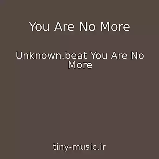 کاور آهنگ You Are No More از Unknown.beat You Are No More