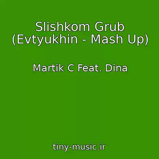 کاور آهنگ Slishkom Grub (Evtyukhin - Mash Up) از Martik C Feat. Dina