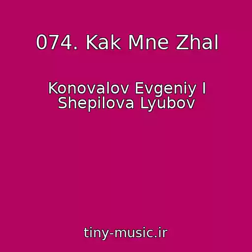 کاور آهنگ 074. Kak Mne Zhal از Konovalov Evgeniy I Shepilova Lyubov