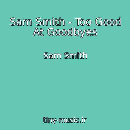 کاور آهنگ Sam Smith - Too Good At Goodbyes از Sam Smith