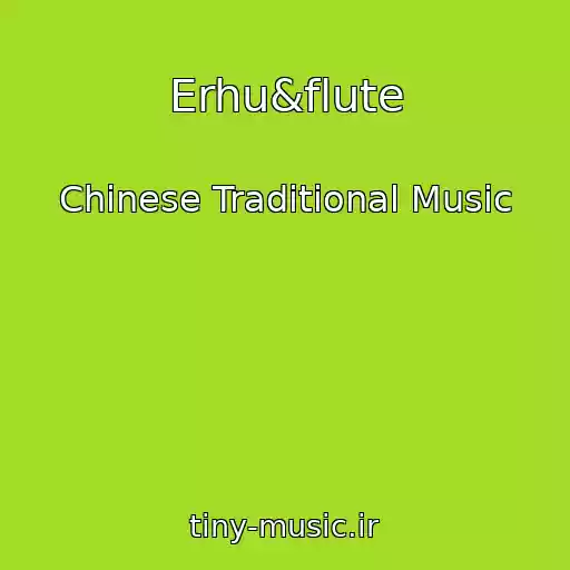 کاور آهنگ Erhu&flute از Chinese Traditional Music