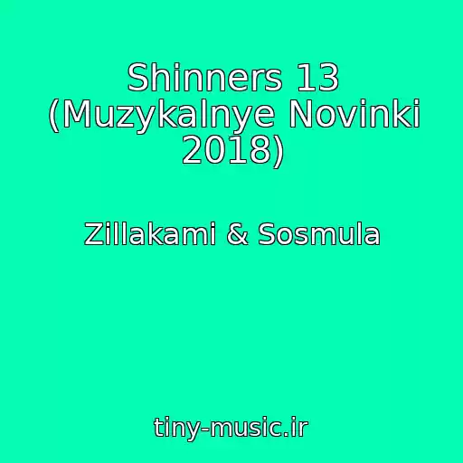 کاور آهنگ Shinners 13 (Muzykalnye Novinki 2018) از Zillakami & Sosmula
