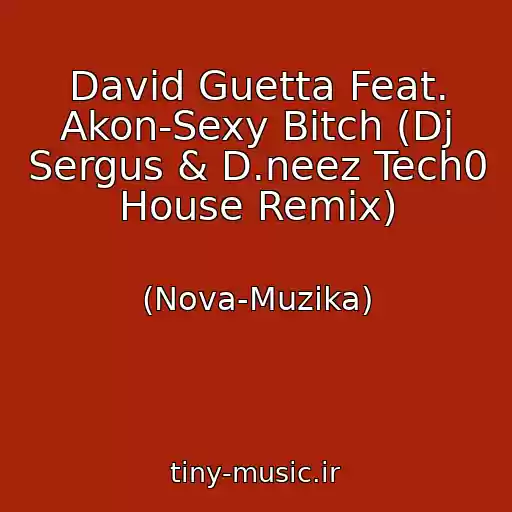 کاور آهنگ David Guetta Feat. Akon-Sexy Bitch (Dj Sergus & D.neez Tech0 House Remix) از (Nova-Muzika)