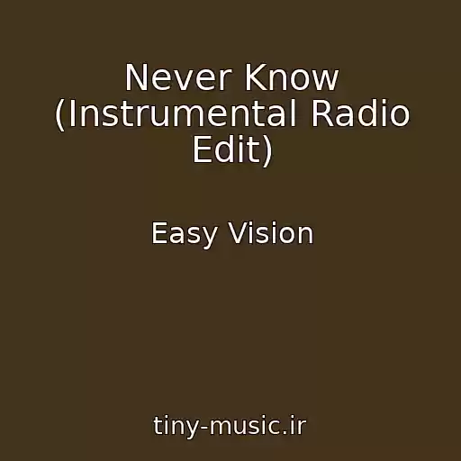 کاور آهنگ Never Know (Instrumental Radio Edit) از Easy Vision