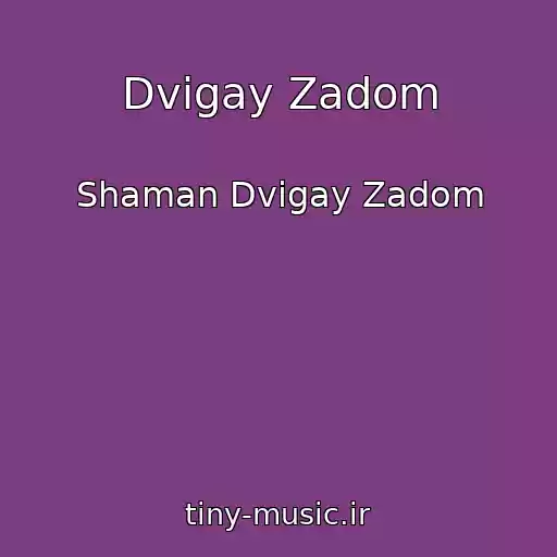 کاور آهنگ Dvigay Zadom از Shaman Dvigay Zadom