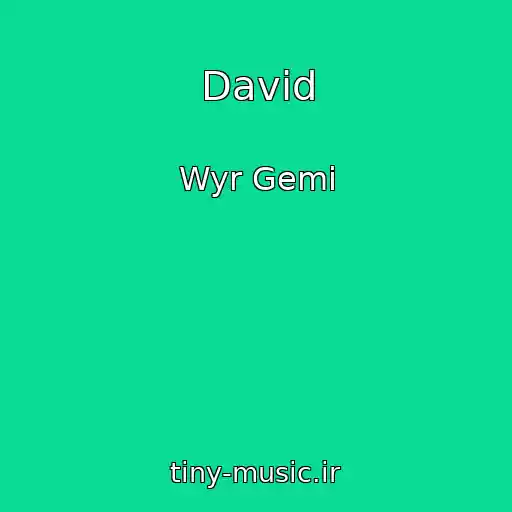 کاور آهنگ David از Wyr Gemi