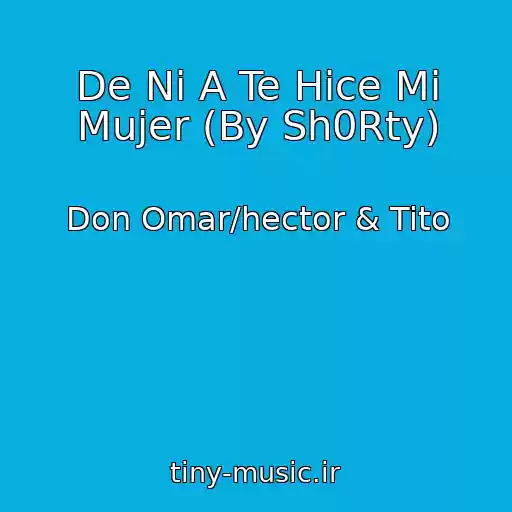 کاور آهنگ De Ni A Te Hice Mi Mujer (By Sh0Rty) از Don Omar/hector & Tito