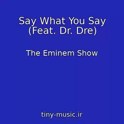 کاور آهنگ Say What You Say (Feat. Dr. Dre) از The Eminem Show