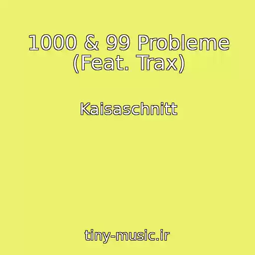 کاور آهنگ 1000 & 99 Probleme (Feat. Trax) از Kaisaschnitt