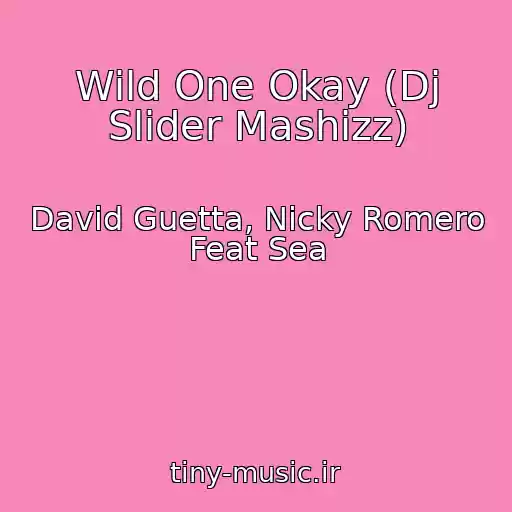 کاور آهنگ Wild One Okay (Dj Slider Mashizz) از David Guetta, Nicky Romero Feat Sea