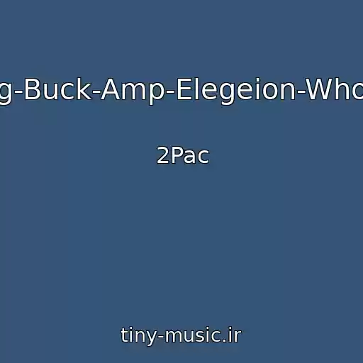 کاور آهنگ 2Pac-Ft-Dmx-Young-Buck-Amp-Elegeion-Who-I-Am-2015-Remix از 2Pac