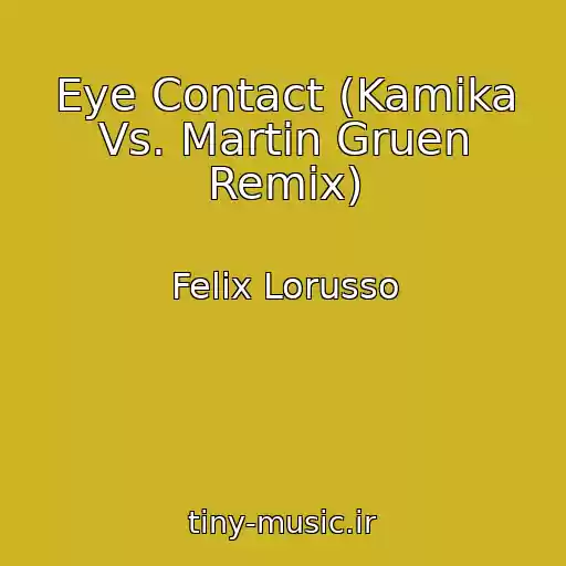 کاور آهنگ Eye Contact (Kamika Vs. Martin Gruen Remix) از Felix Lorusso
