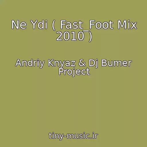 کاور آهنگ Ne Ydi ( Fast_Foot Mix 2010 ) از Andrіy Knyaz & Dj Bumer Project