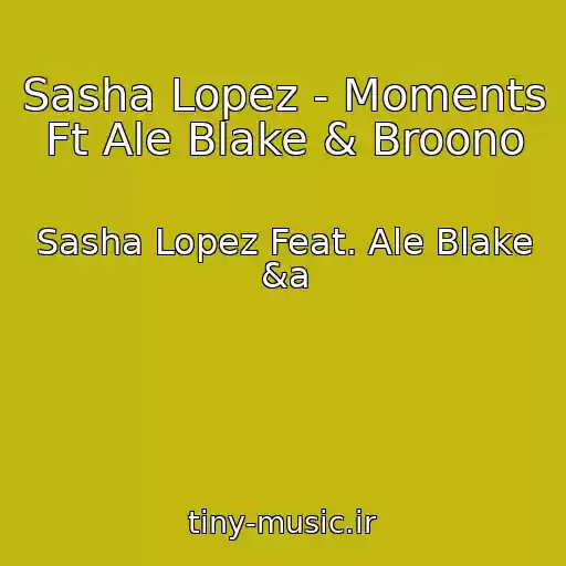 کاور آهنگ Sasha Lopez - Moments Ft Ale Blake & Broono از Sasha Lopez Feat. Ale Blake &a