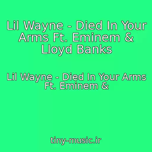 کاور آهنگ Lil Wayne - Died In Your Arms Ft. Eminem & Lloyd Banks از Lil Wayne - Died In Your Arms Ft. Eminem &