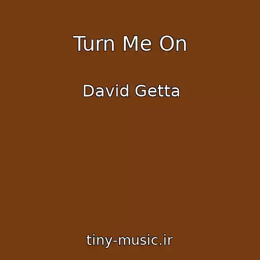 کاور آهنگ Turn Me On از David Getta