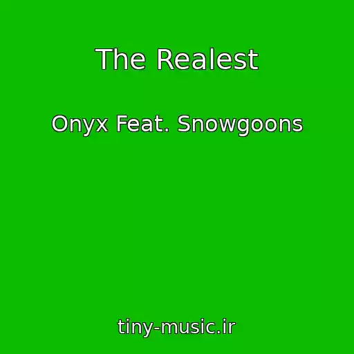 کاور آهنگ The Realest از Onyx Feat. Snowgoons