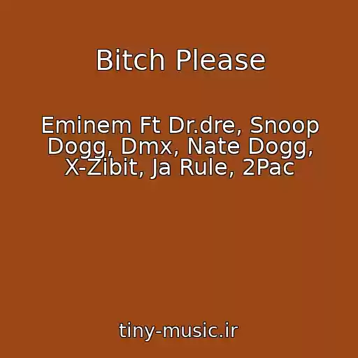 کاور آهنگ Bitch Please از Eminem Ft Dr.dre, Snoop Dogg, Dmx, Nate Dogg, X-Zibit, Ja Rule, 2Pac