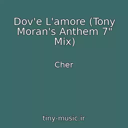 کاور آهنگ Dov'e L'amore (Tony Moran's Anthem 7" Mix) از Cher