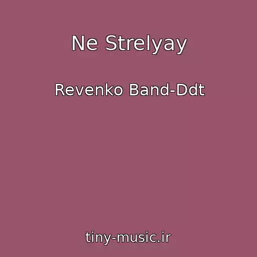 کاور آهنگ Ne Strelyay از Revenko Band-Ddt