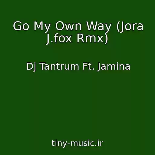 کاور آهنگ Go My Own Way (Jora J.fox Rmx) از Dj Tantrum Ft. Jamina