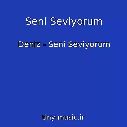 کاور آهنگ Seni Seviyorum از Deniz - Seni Seviyorum