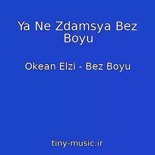 کاور آهنگ Ya Ne Zdamsya Bez Boyu از Okean Elzi - Bez Boyu