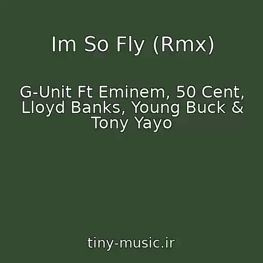 کاور آهنگ Im So Fly (Rmx) از G-Unit Ft Eminem, 50 Cent, Lloyd Banks, Young Buck & Tony Yayo
