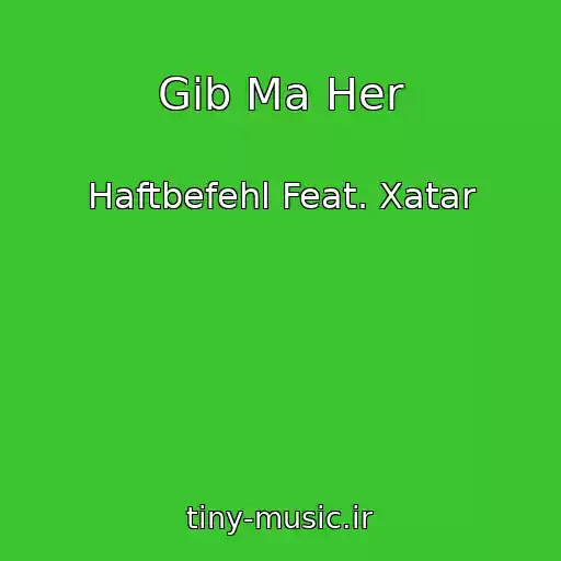کاور آهنگ Gib Ma Her از Haftbefehl Feat. Xatar