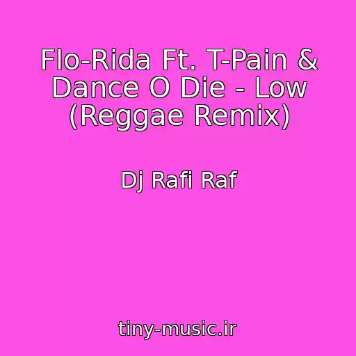 کاور آهنگ Flo-Rida Ft. T-Pain & Dance O Die - Low (Reggae Remix) از Dj Rafi Raf