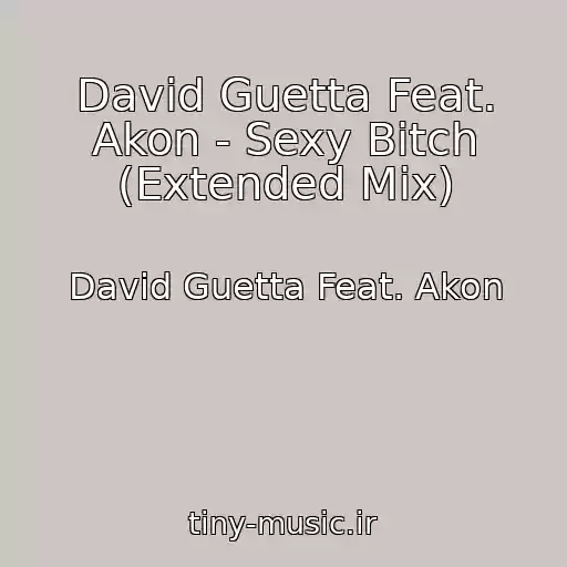 کاور آهنگ David Guetta Feat. Akon - Sexy Bitch (Extended Mix) از David Guetta Feat. Akon