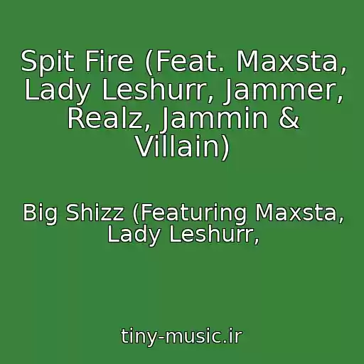 کاور آهنگ Spit Fire (Feat. Maxsta, Lady Leshurr, Jammer, Realz, Jammin & Villain) از Big Shizz (Featuring Maxsta, Lady Leshurr,