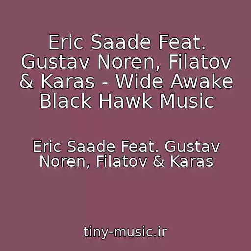 کاور آهنگ Eric Saade Feat. Gustav Noren, Filatov & Karas - Wide Awake Black Hawk Music از Eric Saade Feat. Gustav Noren, Filatov & Karas