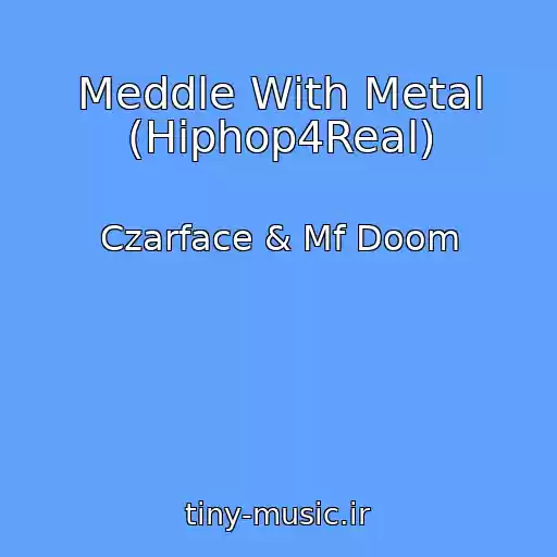کاور آهنگ Meddle With Metal (Hiphop4Real) از Czarface & Mf Doom