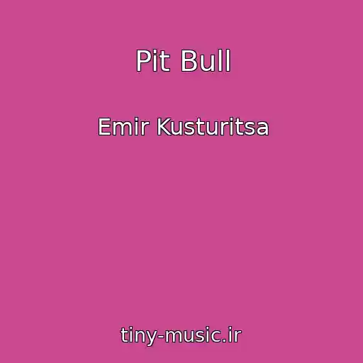 کاور آهنگ Pit Bull از Emir Kusturitsa