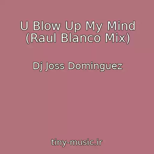 کاور آهنگ U Blow Up My Mind (Raul Blanco Mix) از Dj Joss Dominguez