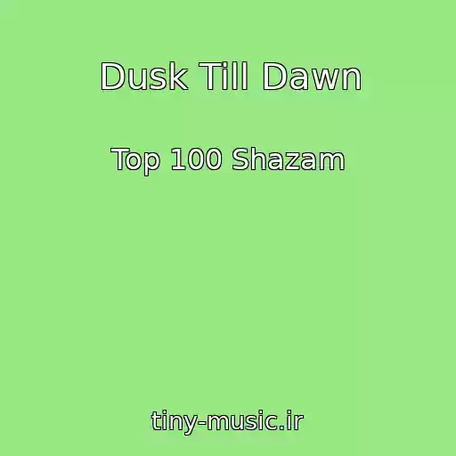 کاور آهنگ Dusk Till Dawn از Top 100 Shazam