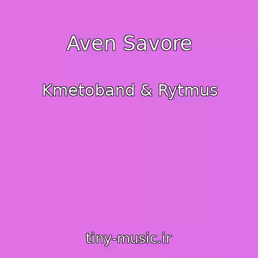 کاور آهنگ Aven Savore از Kmetoband & Rytmus