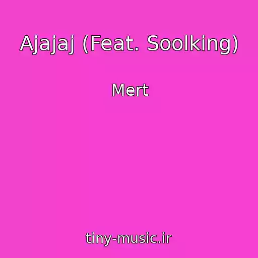 کاور آهنگ Ajajaj (Feat. Soolking) از Mert