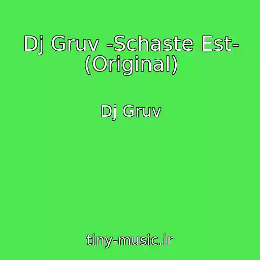 کاور آهنگ Dj Gruv -Schaste Est- (Original) از Dj Gruv