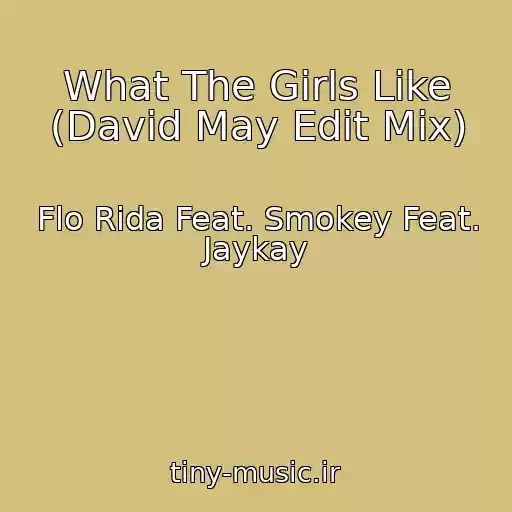 کاور آهنگ What The Girls Like (David May Edit Mix) از Flo Rida Feat. Smokey Feat. Jaykay