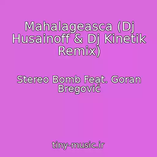 کاور آهنگ Mahalageasca (Dj Husainoff & Dj Kinetik Remix) از Stereo Bomb Feat. Goran Bregović
