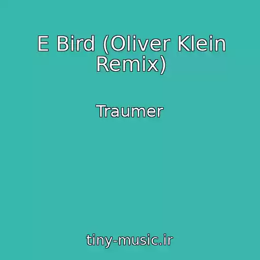 کاور آهنگ E Bird (Oliver Klein Remix) از Traumer