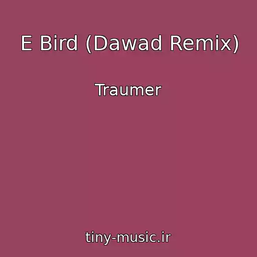کاور آهنگ E Bird (Dawad Remix) از Traumer